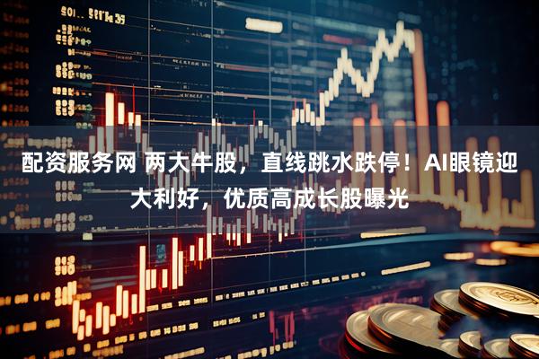 配资服务网 两大牛股，直线跳水跌停！AI眼镜迎大利好，优质高成长股曝光