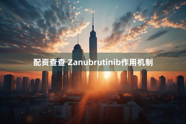配资查查 Zanubrutinib作用机制